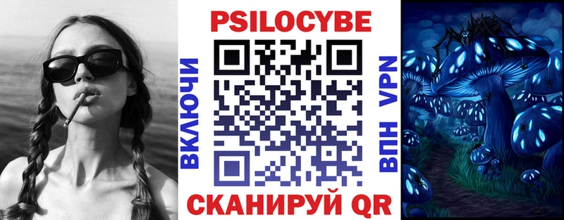 кракен tor  Кадников  Галлюциногенные грибы прущие грибы 